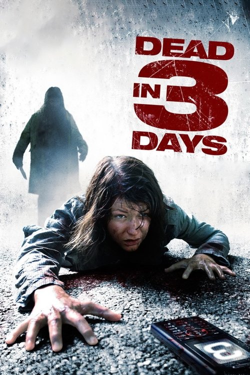 Dead in 3 Days (2006) poster