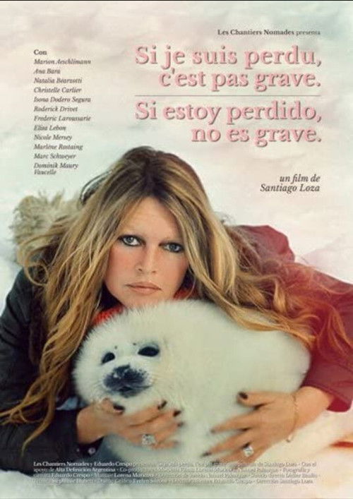 It’s Alright If I’m Lost (2014) poster