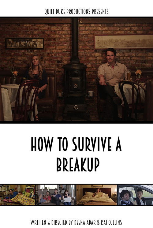 How to Survive a Breakup (2015) poster