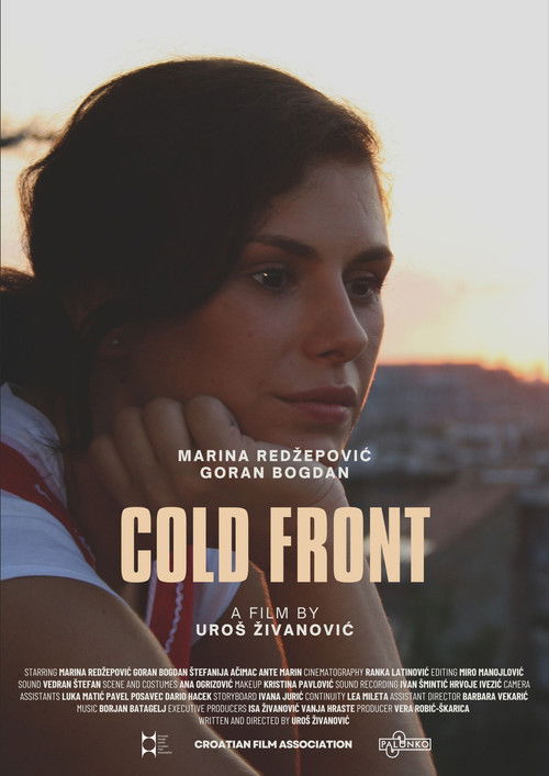Cold Front (2009) poster