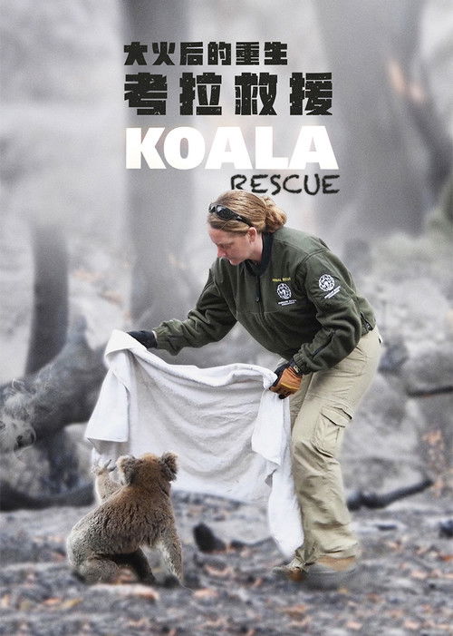 Koala Rescue (2020) poster