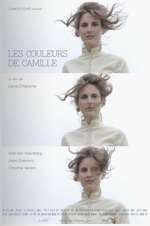 Les couleurs de Camille (2018) poster