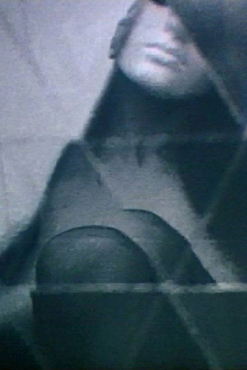 1969 Exhibit (1969) poster