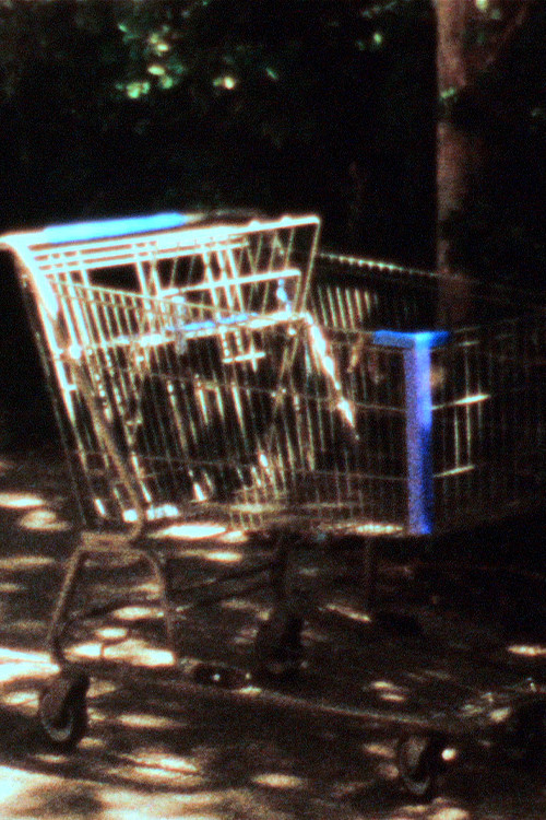 Citizens Against Basswood (2013) poster