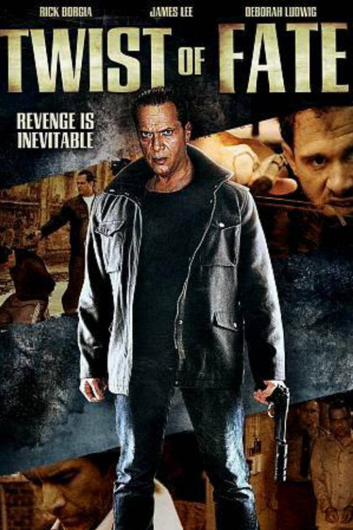 Twists of Fate (2012) poster