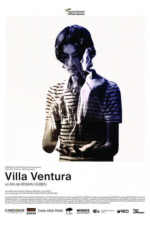 Villa Ventura (2017) poster