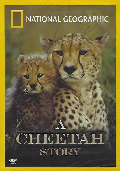 Cheetah Story (1999) poster
