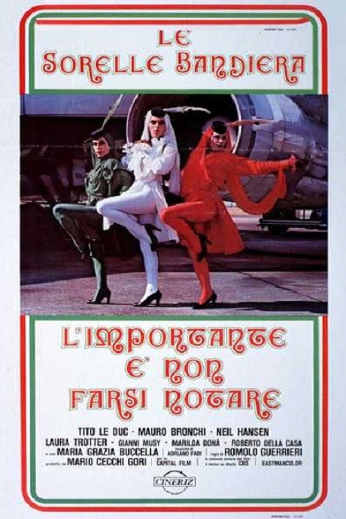 L'importante è non farsi notare (1979) poster