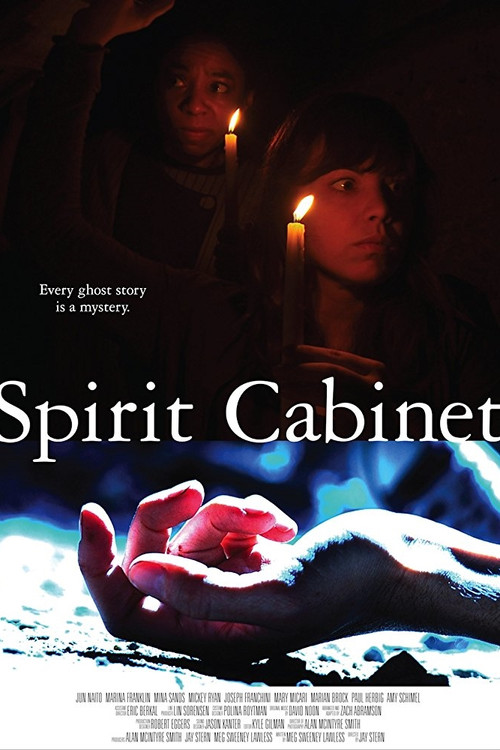 Spirit Cabinet (2013) poster
