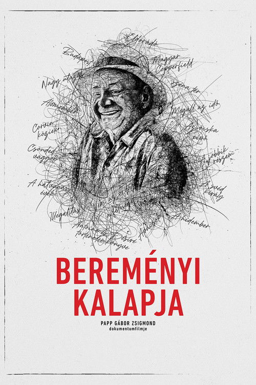 Bereményi kalapja (2022) poster