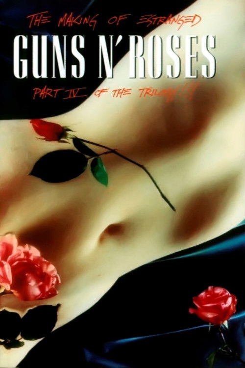 Guns N' Roses: Makin' F@*!ing Videos Part IV Estranged (1993) poster