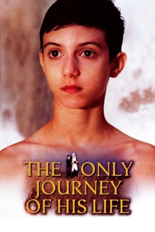 The Only Journey of His Life (2001) poster