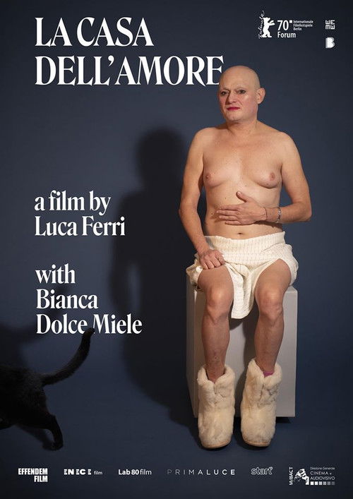 La casa dell’amore (2020) poster