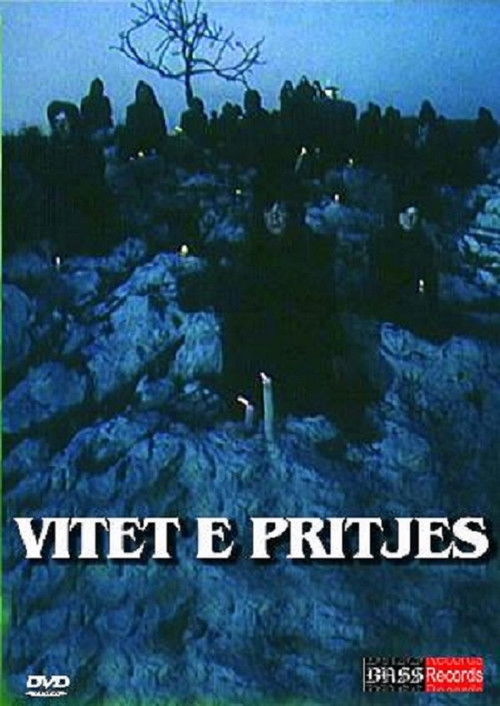 Vitet e pritjes (1990) poster