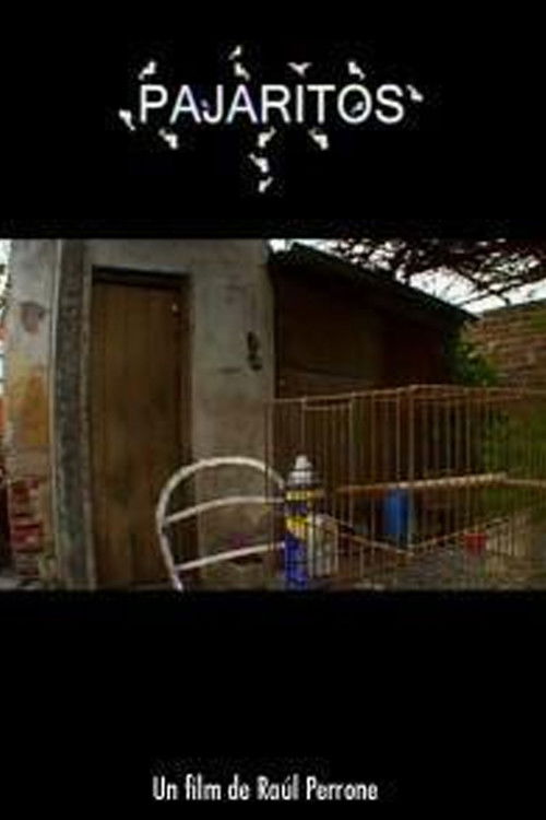 Pajaritos (2005) poster