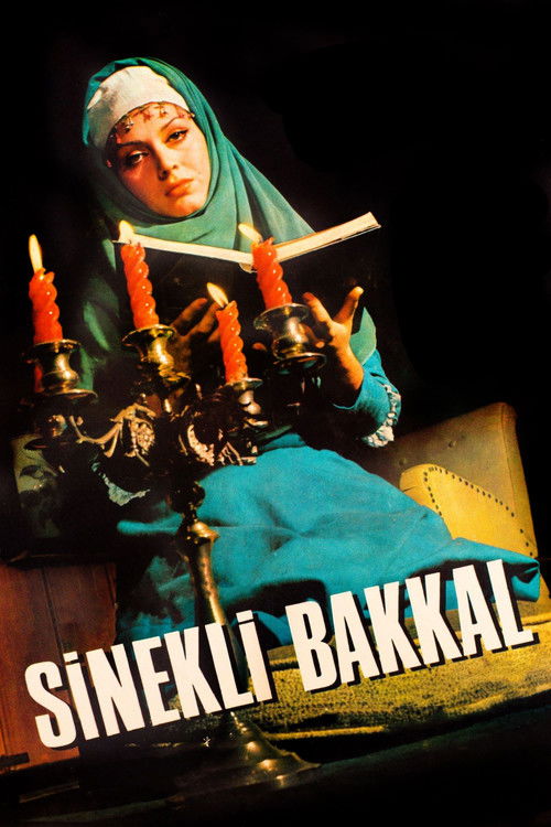 Sinekli Bakkal (1967) poster