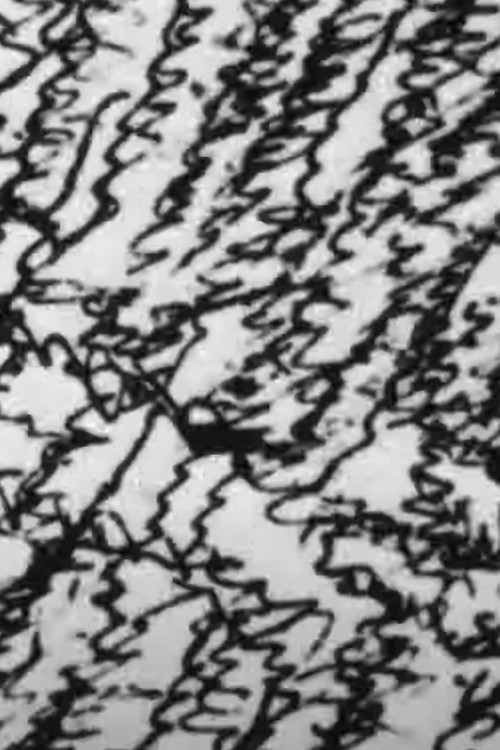 My Frontier Is an Endless Wall of Points (2007) poster