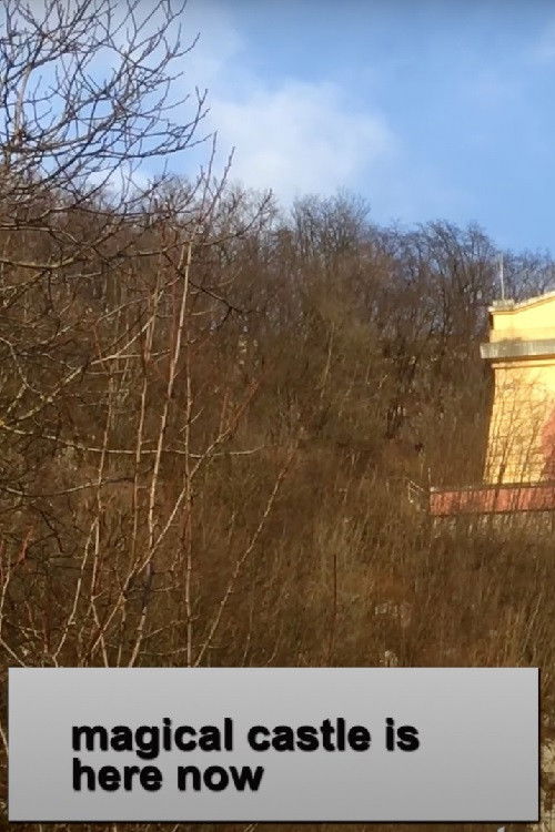 Magical Castle Is Here Now (2021) poster