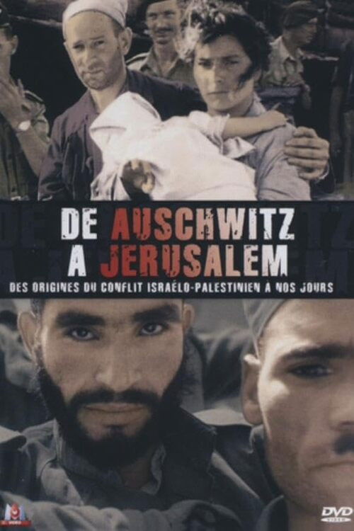 De Auschwitz à Jérusalem (2008) poster