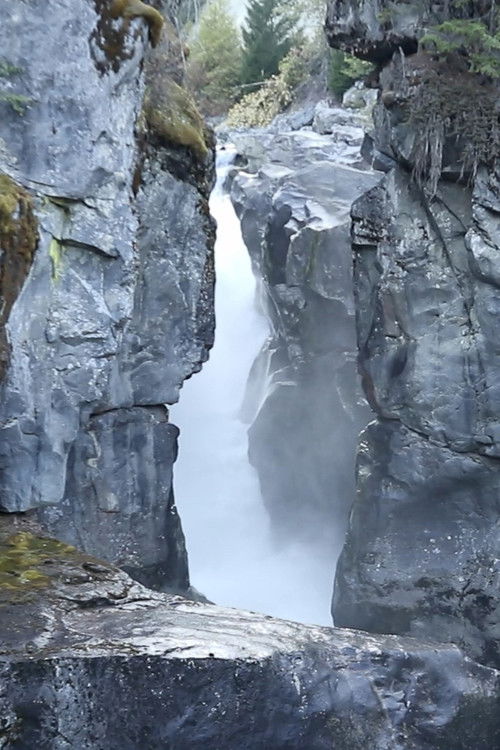 River Simple (2024) poster