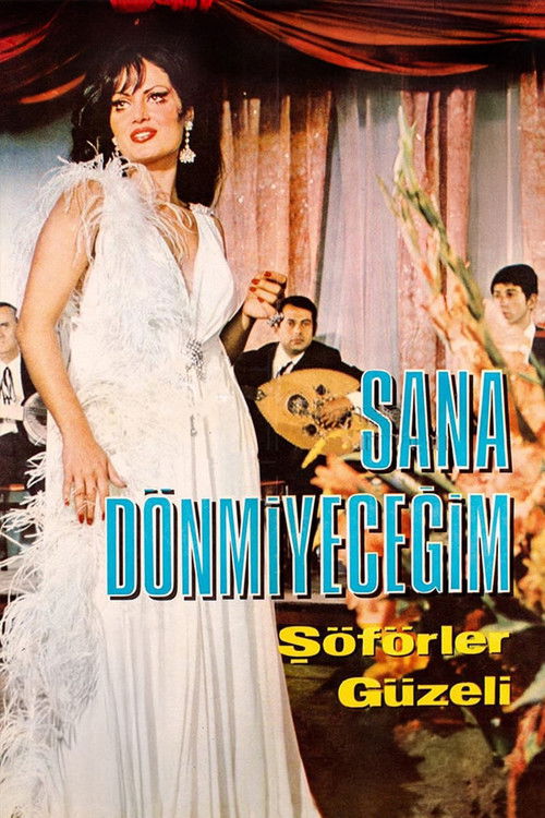Sana Dönmeyeceğim (1969) poster