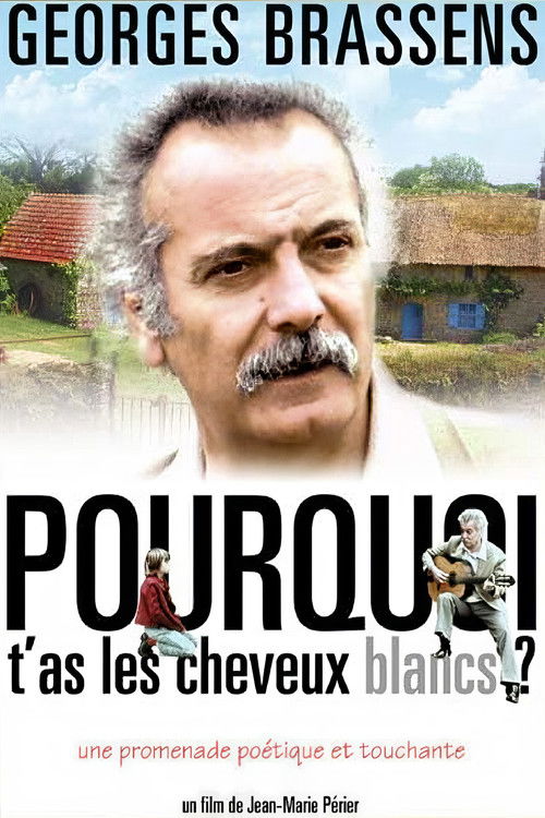 Pourquoi t'as les cheveux blancs... (1973) poster