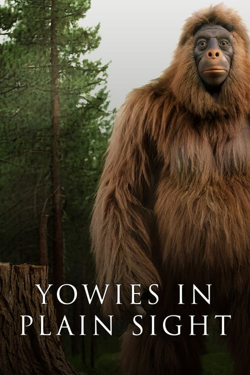 Yowies in Plain Sight poster