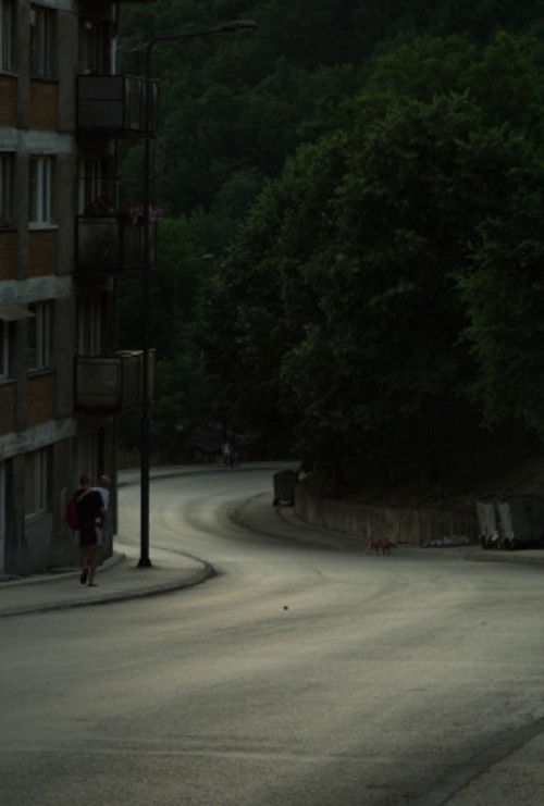 Meanwhile (2017) poster