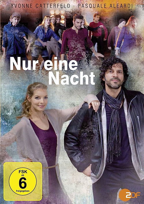 Nur eine Nacht (2013) poster