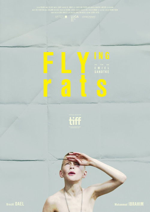 Vliegende Ratten poster