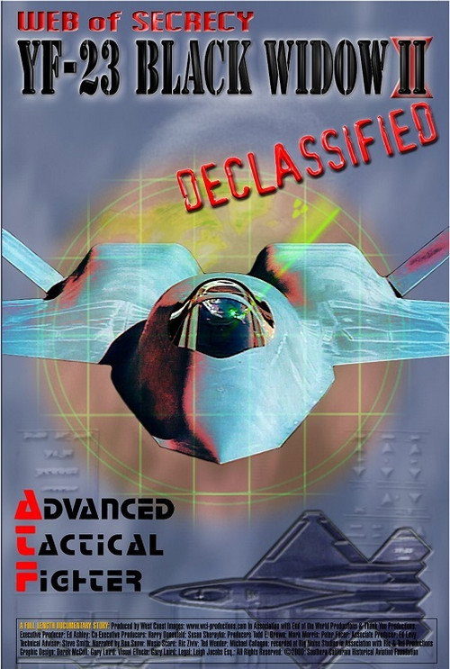 Web of Secrecy: Black Widow II Declassified (2011) poster