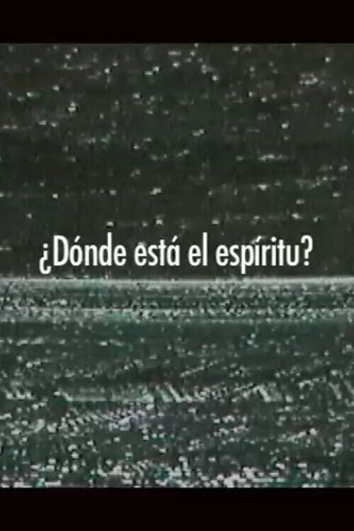 ¿Dónde está el espíritu? (2005) poster