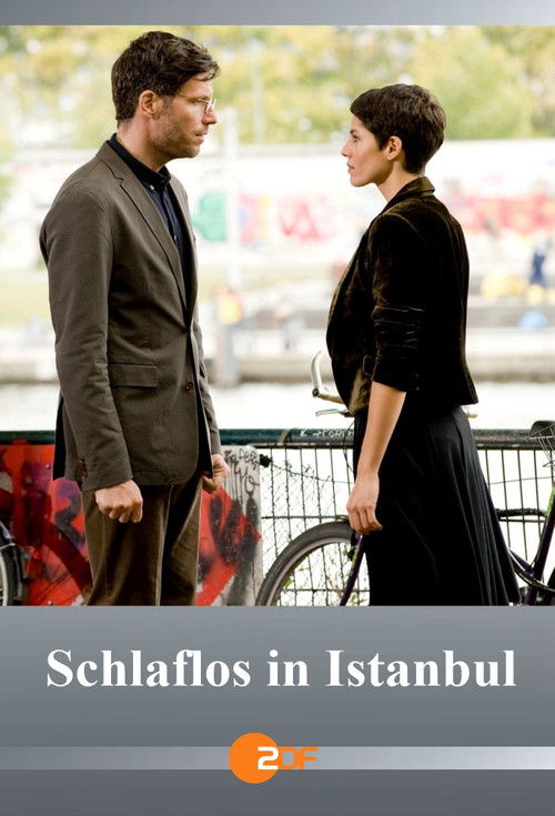 Schlaflos in Istanbul (2014) poster
