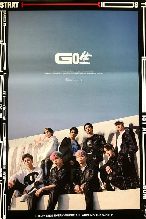 Stray Kids ＜ONLINE UNVEIL  GO生＞ (2020) poster