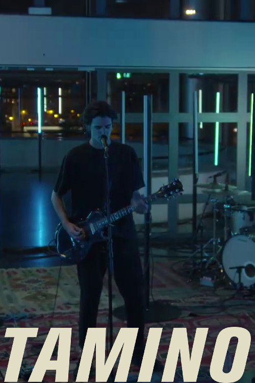 Tamino - live @ Les Concerts Volants (2018) poster