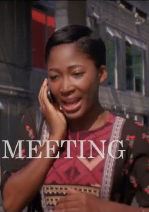 Chance Meeting (2013) poster