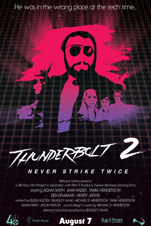 Thunderbolt 2: Never Strike Twice (2016) poster
