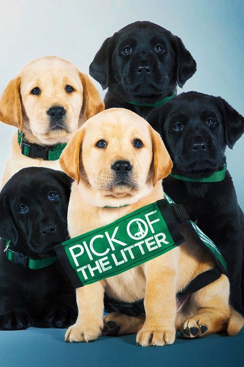 Pick of the Litter (2019) poster