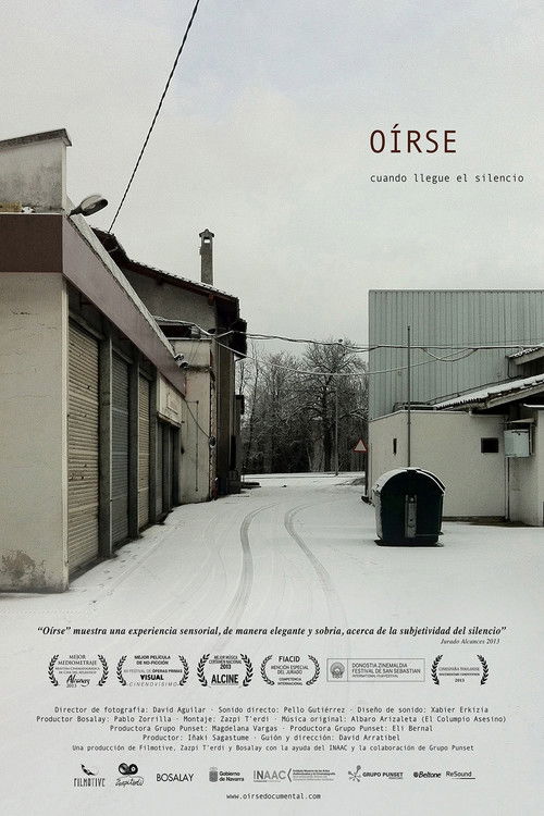 The Sound Inside (2013) poster