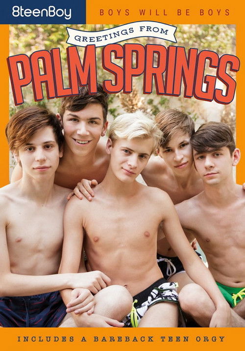 Greetings from Palm Springs (2018) poster