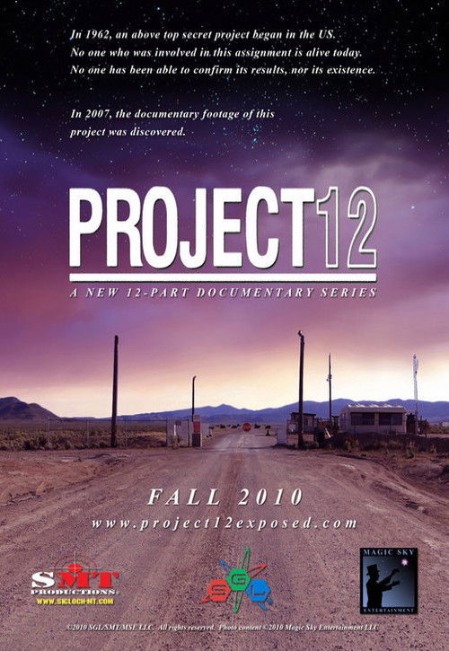Project 12 (2012) poster