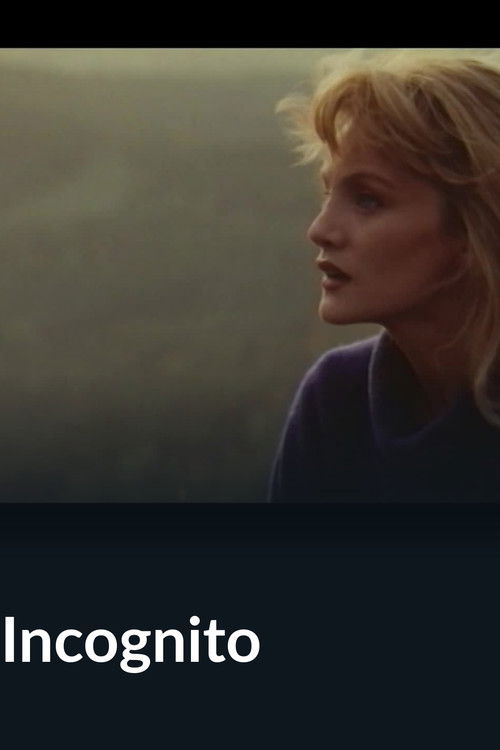 Incognito (1990) poster