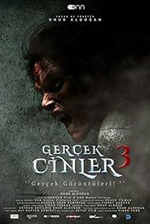 Gerçek Cinler 3 poster