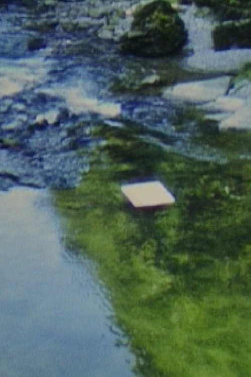 Paper in River (1980) poster
