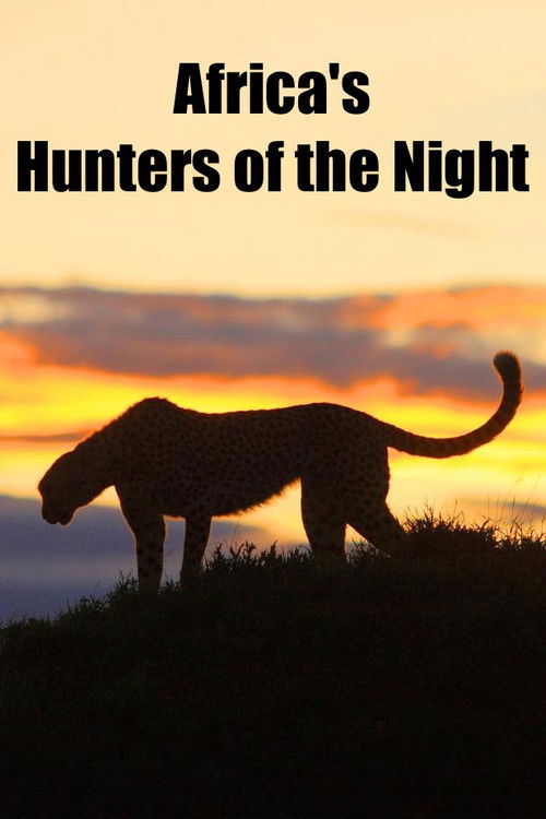 Africa's Hunters of the Night (2022) poster