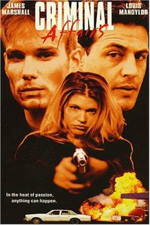 Criminal Affairs (1998) poster