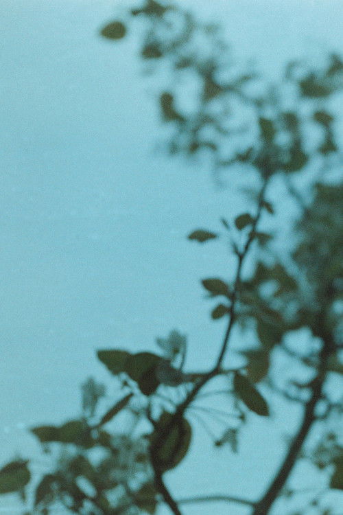 Ideal and reality (2023) poster