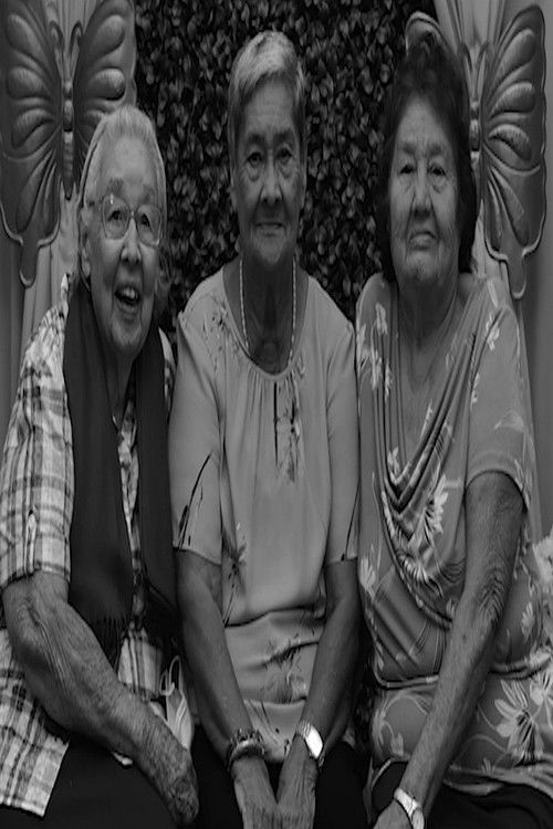 Three Parallel Reflections on the Past (2024) poster