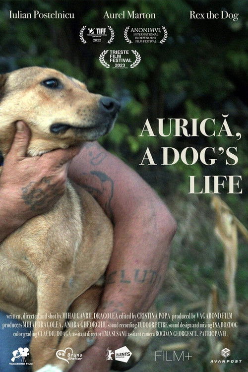 Aurica, a Dog's Life (2022) poster