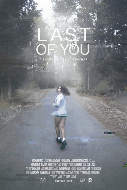 Last of You (2013) poster